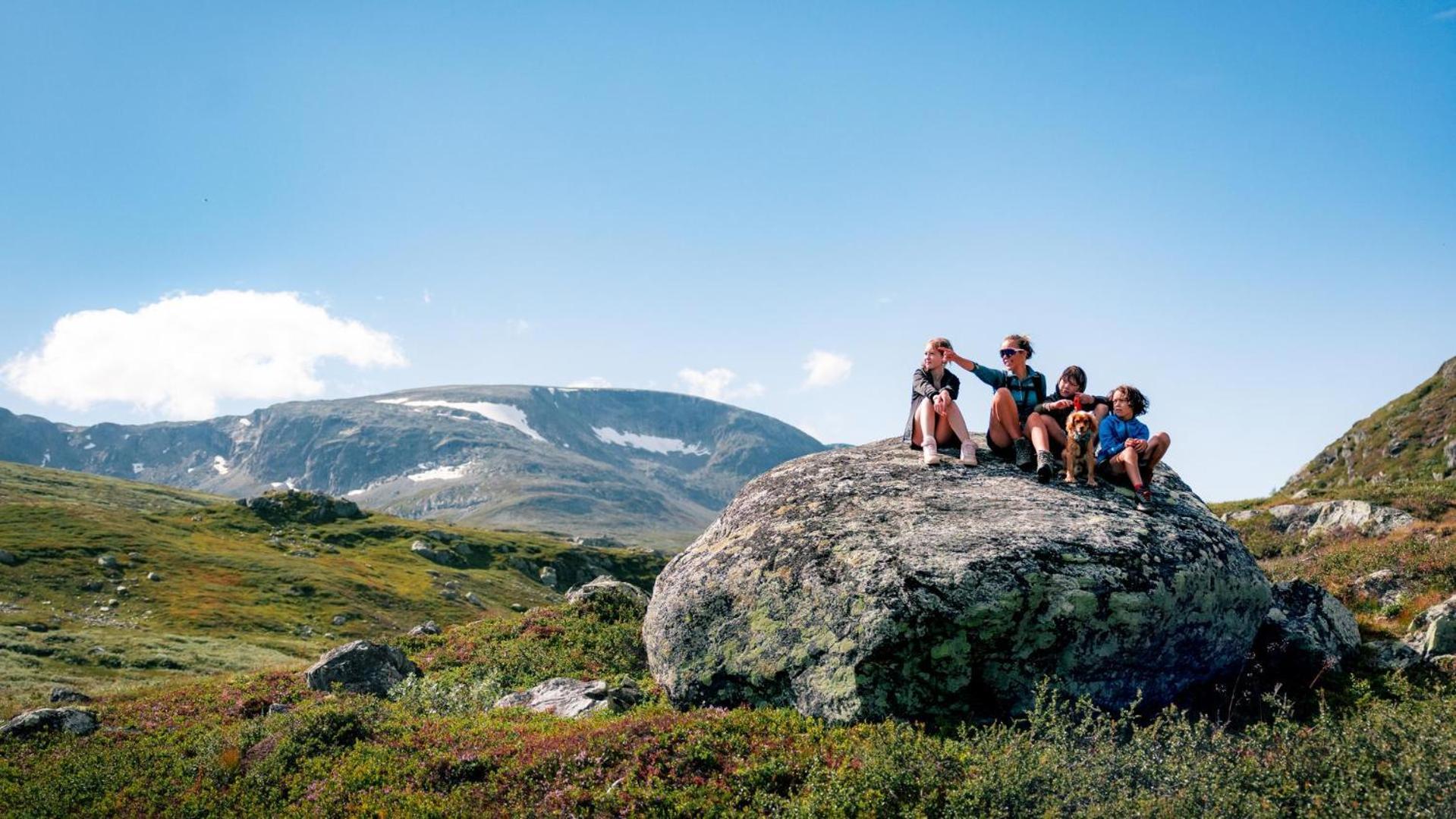 Skurdalsvegen 37L Villa Geilo Eksteriør bilde